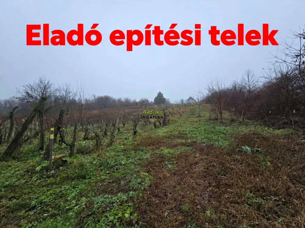 Győr-Moson-Sopron megye - Sopron